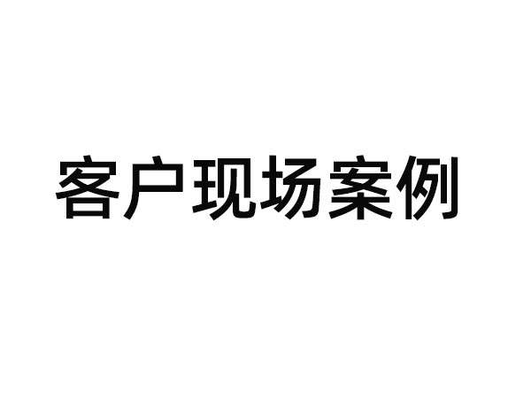 新型炒货喷油机
